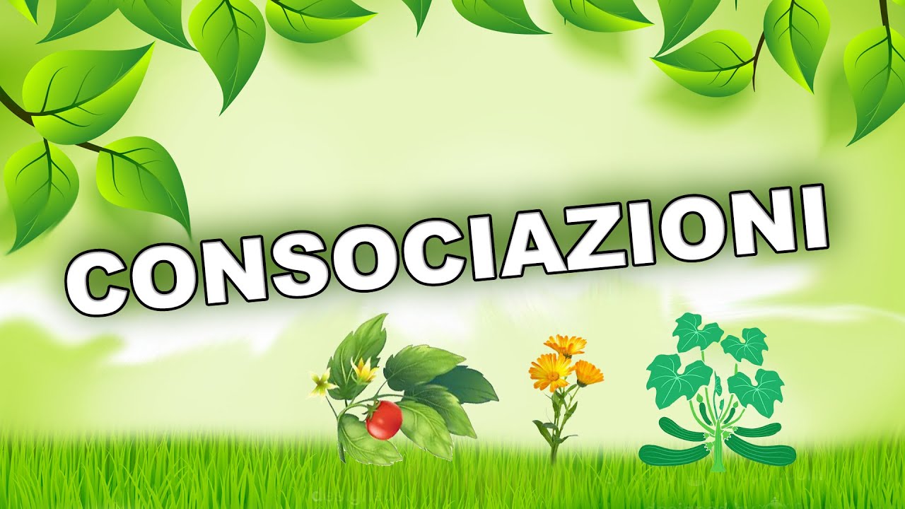 Consociazioni tra fiori piante e ortaggi