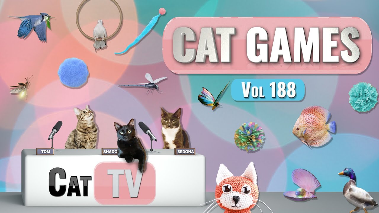 CAT Games | Ultimate Cat TV Compilation, том 188 | 8 ЧАСОВ 🐝🐞🦋🦎🦜🐜🐭🧵