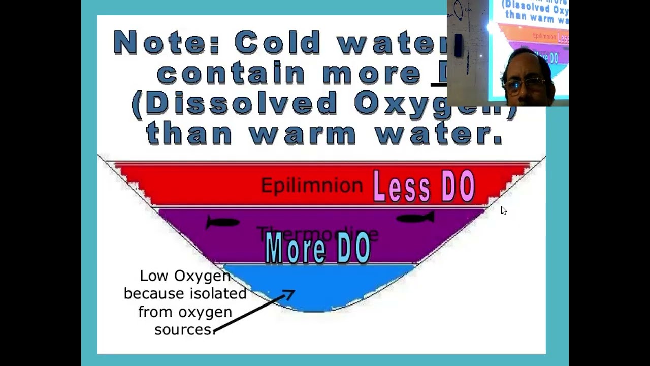 River Water Model and Stratification of Lake