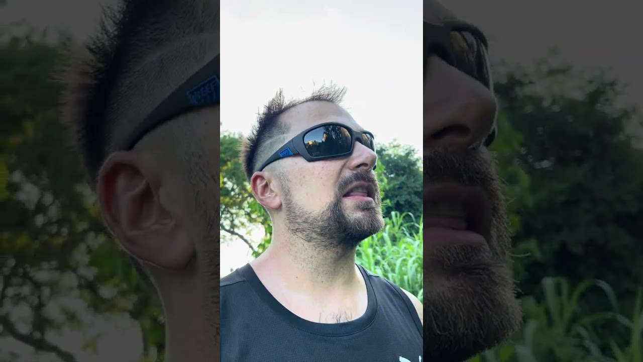 Alegría de los pájaros Acnistus arborescens Güitite vivero el Guapuru corrientes capital