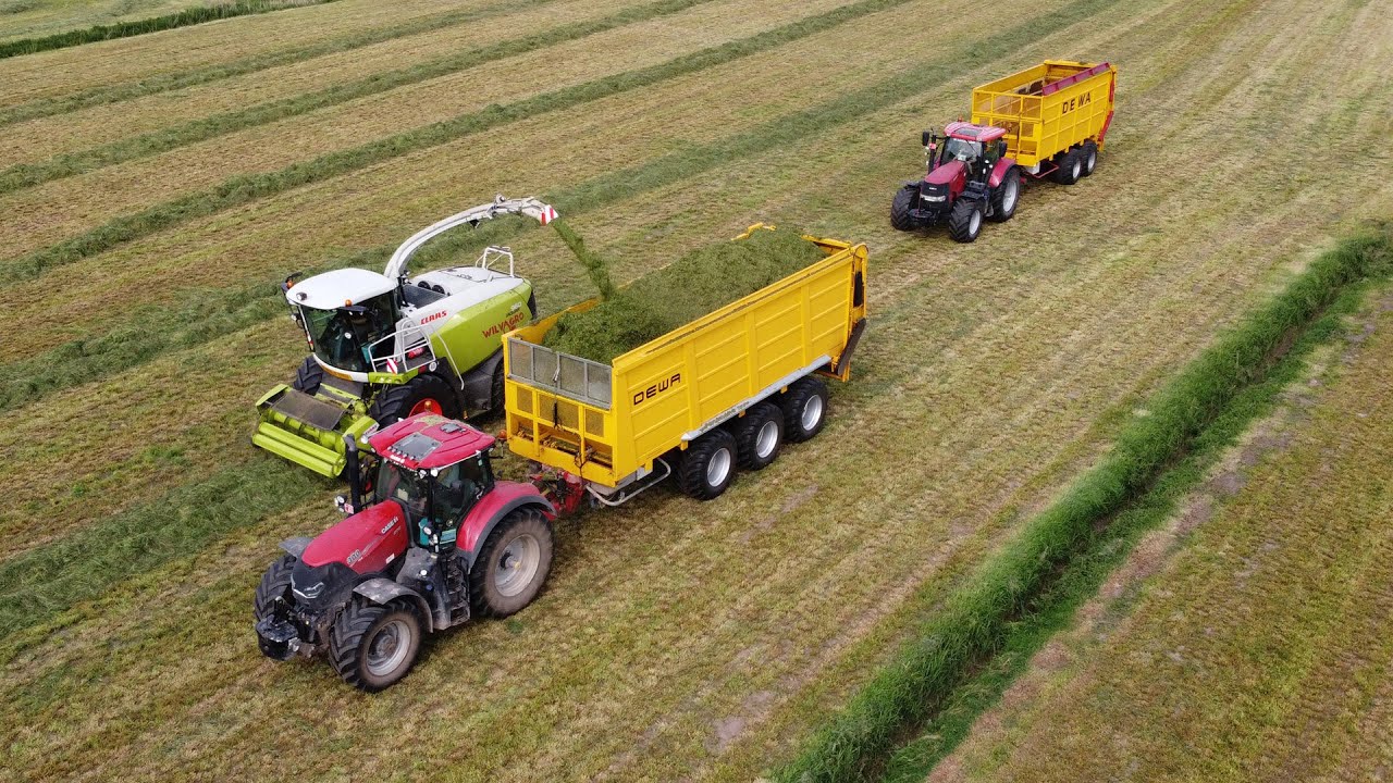 Claas Jaguar 960  & Case IH Optum 300 + DEWA 3-asser - Wilvagro bvba - gras hakselen