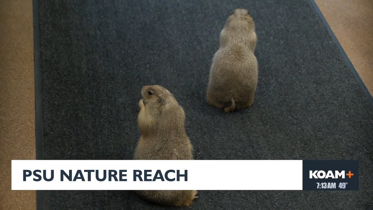 PSU Nature Reach Discuss Prairie Dogs-February 18th