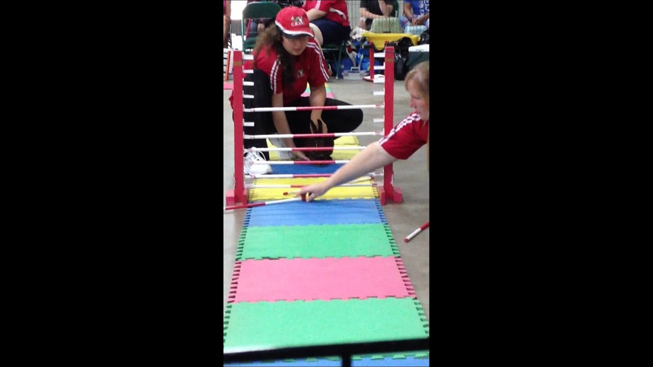 JaberWocky High Jump @Red Deer. Canadian Rabbit Hopping Club