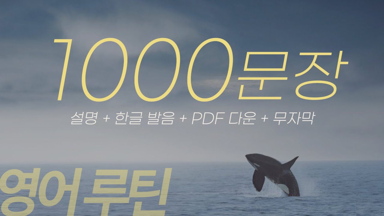 💛 뒹굴신 영어 루틴 1️⃣0️⃣0️⃣0️⃣문장 최종본
