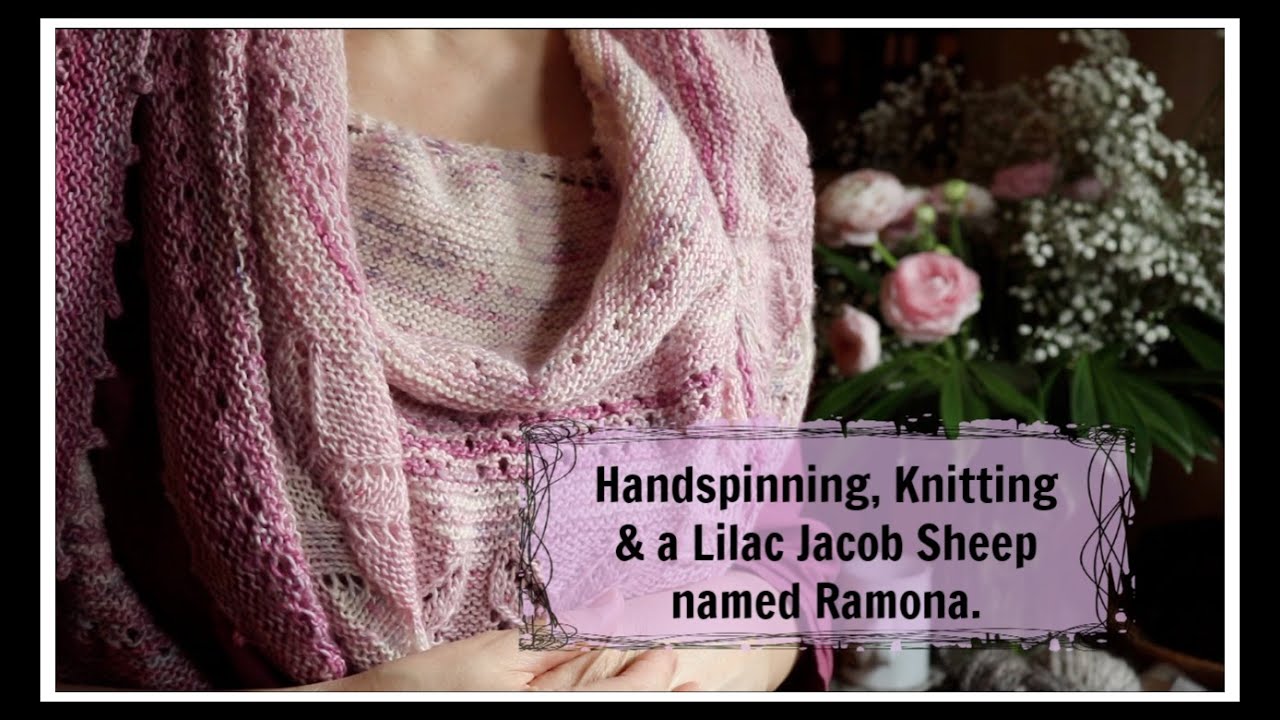 Handspinning, Knitting & a Lilac Jacob Sheep named Ramona