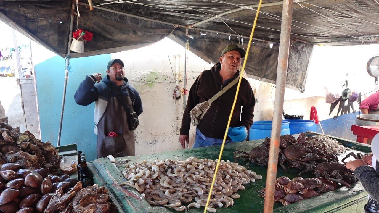 Seafood Shopping - Popotla Rosarito Fishing Village - Rosarito, Mexico Baja California