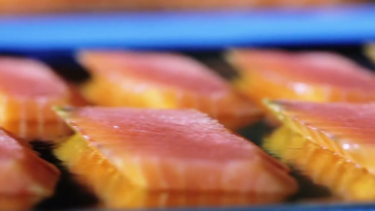 Salmon Slicer: Fresh Slicer DL 250 | Uni-Food Technic A/S