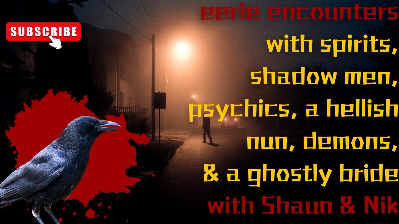 #65 True Paranormal Hauntings You Can&rsquo;t Ignore! (with Shaun Schulte)