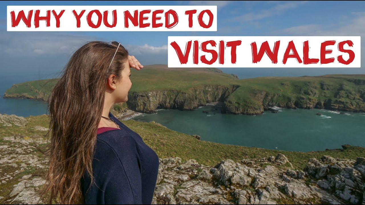 UK's Best Wildlife - Wales | Dolphins, Puffins & Seals | Skomer Island UK Road Trip Travel Vlog 21