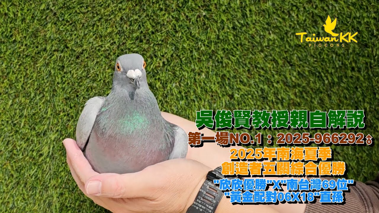 【吳俊賢教授】第一場1.2025年南海夏季創造者9417羽五關綜合優勝，
