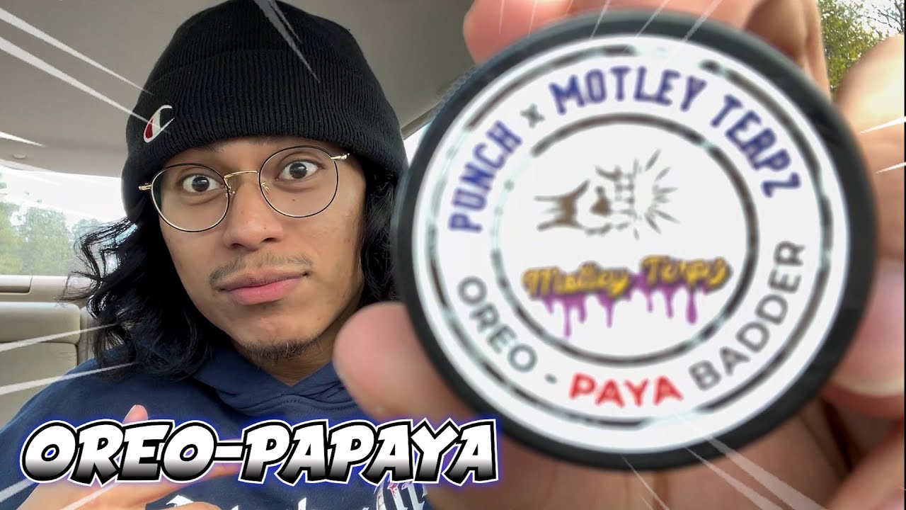 This OREO-PAPAYA BADDER Tier 4 Had TOO MANY TERPS!! Punch Extracts Live Rosin Review!!