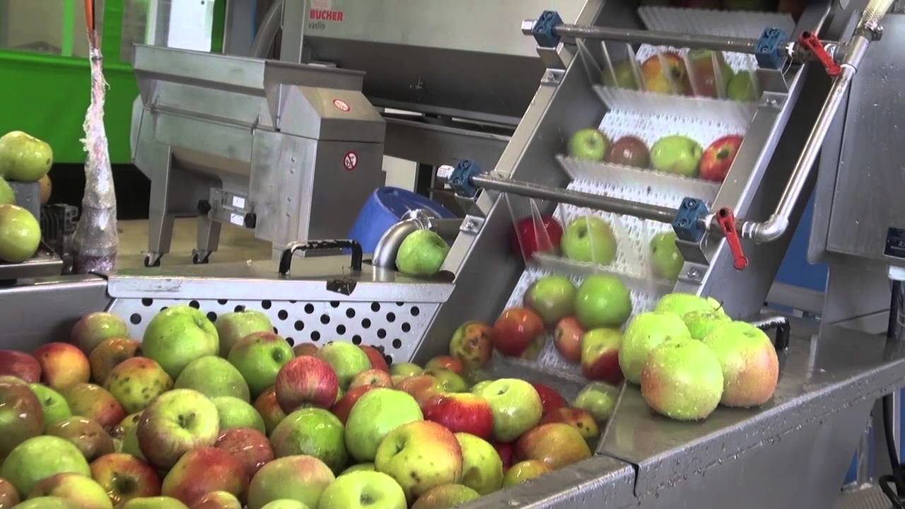 Visite de la fabrique de jus de fruits « Opaline » avec Ludovic Orts