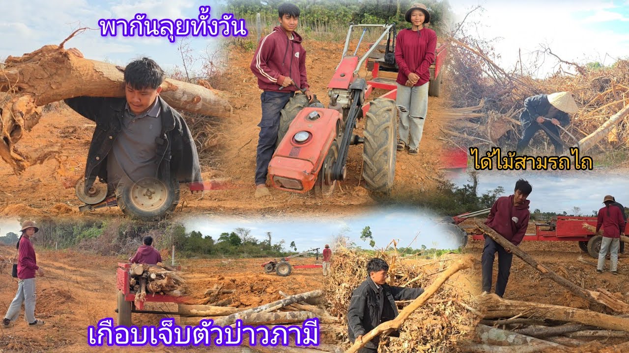 เรี่มขนไม้กลับบ้านได้สามรถไถวันนี้ ลุยทั้งวันราตรีกับสามี 22 มกราคม ค.ศ. 2026