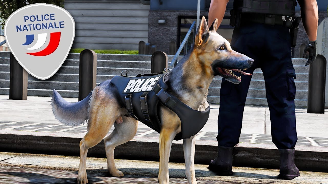 POLICE NATIONALE #29 - PATROUILLE MAITRE CHIEN - LSPDFR GTA 5 MODS