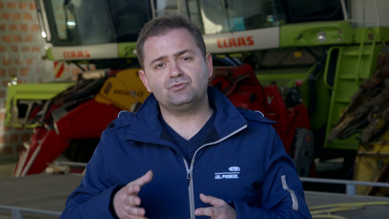 Visoko oleinski hibridi suncokreta Pioneer, HE144, HE133 i HE118