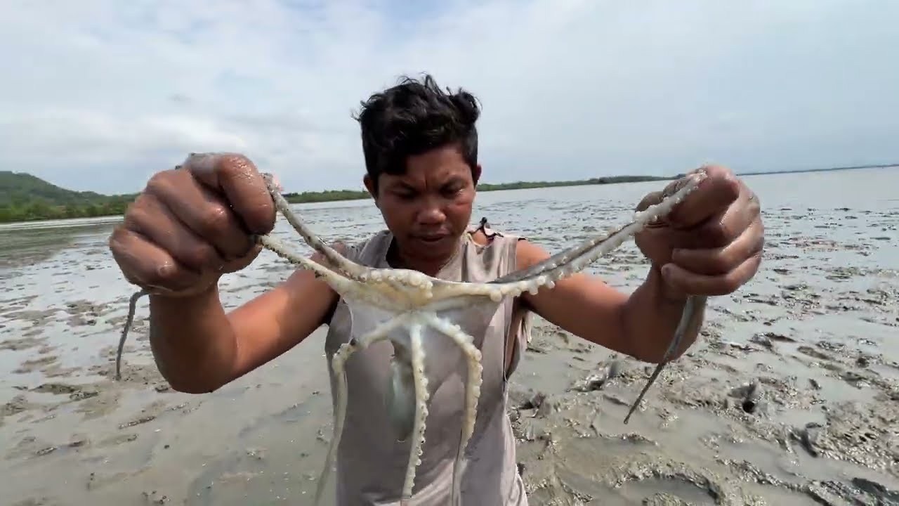 Hidden in the Mud Sea | Catching Octopus After Low Tide