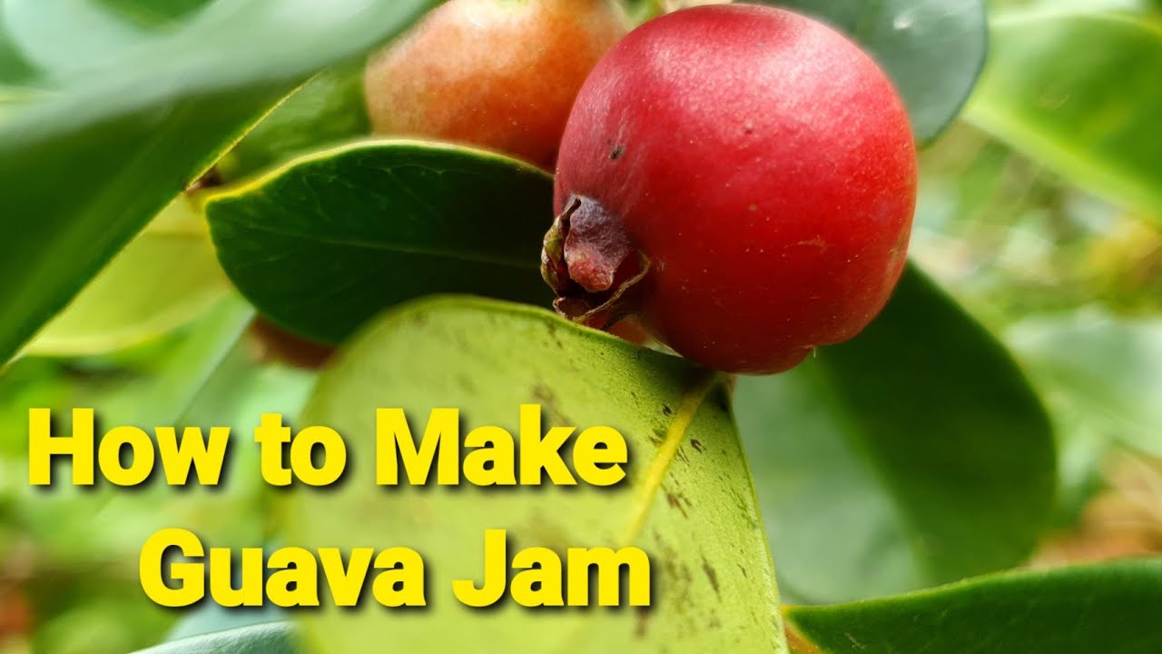 How to Make Guava Jam / Cherry Guava Jam