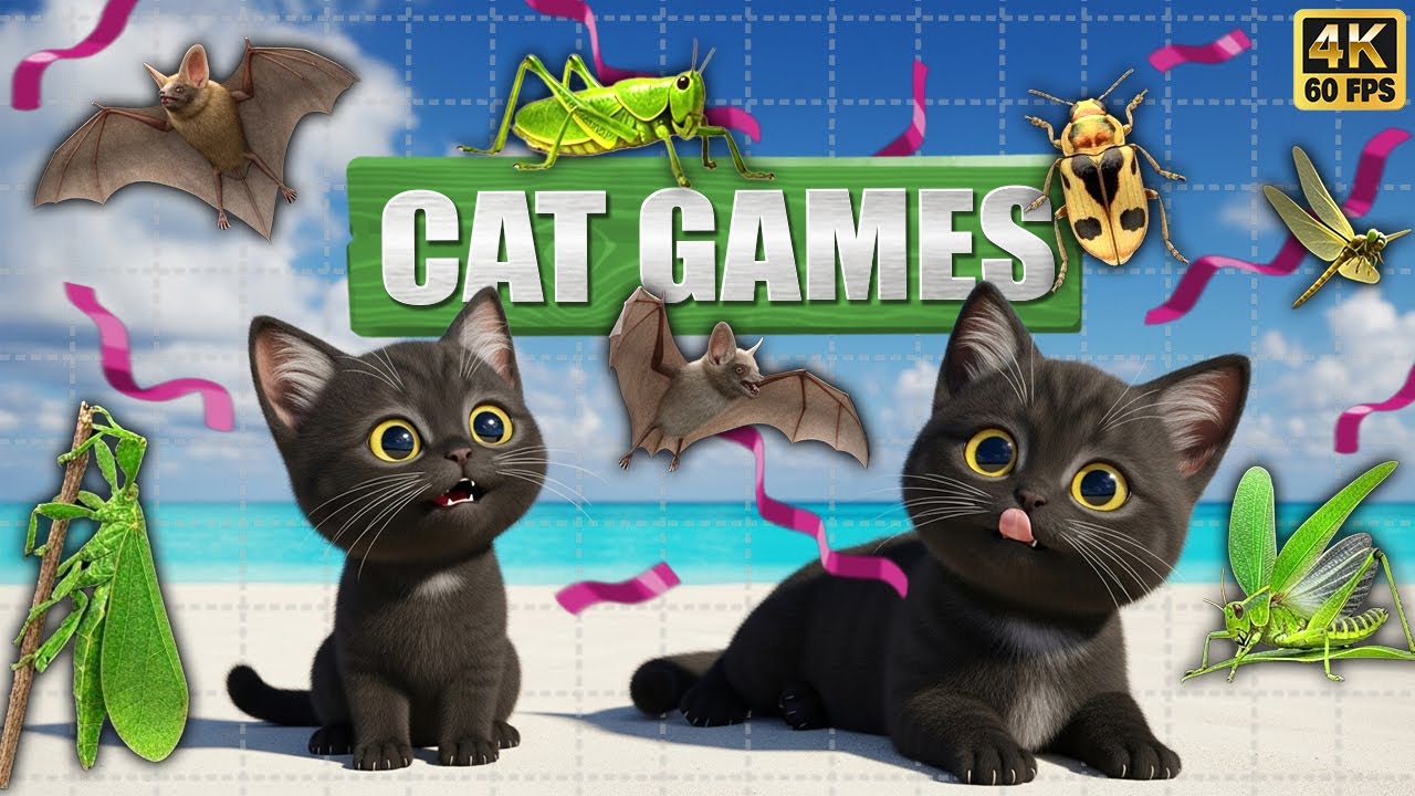 CAT GAMES 🐾3D Game for Cats | Video for Cats  – Ultimate CAT TV #145😻 4K60FPS