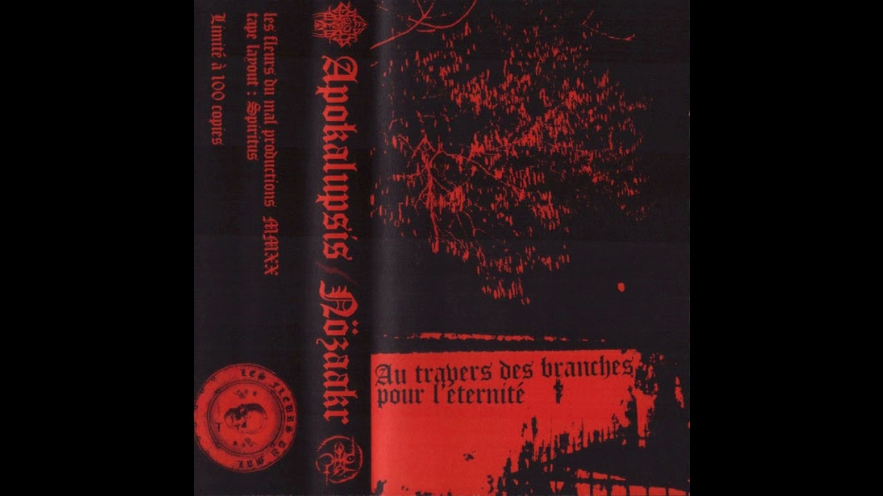 Apokalupsis / N&ouml;zaakr - Au Travers Des Branches Pour L'&eacute;ternit&eacute; (2020)