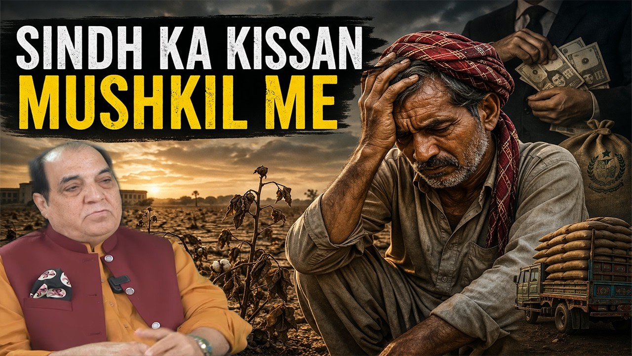 Sindh Govt Wheat Corruption | Gandum Ka Bohran | Visualizing Rafiq Bhutto's Analysis on Hamariweb