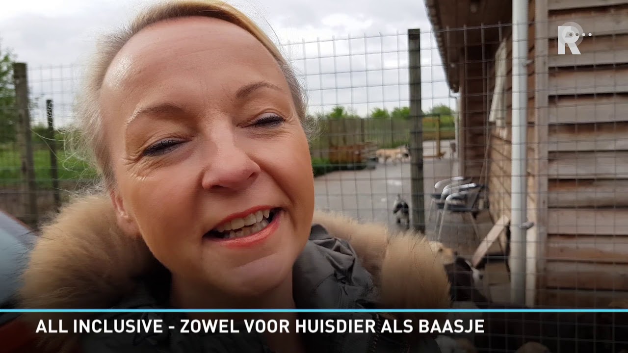 Honden genieten van all-in verblijf in Ambachts dierenpension