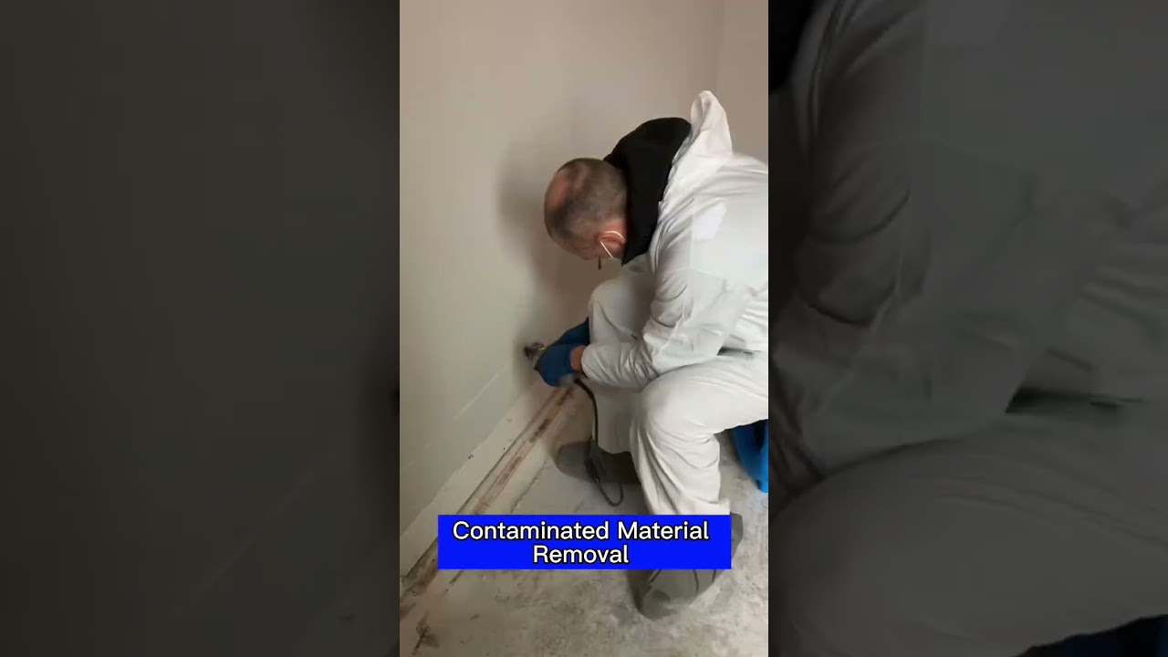 Sewage Damage Mitigation. Hire a Professional Water Damage Restoration Company for your clean up.