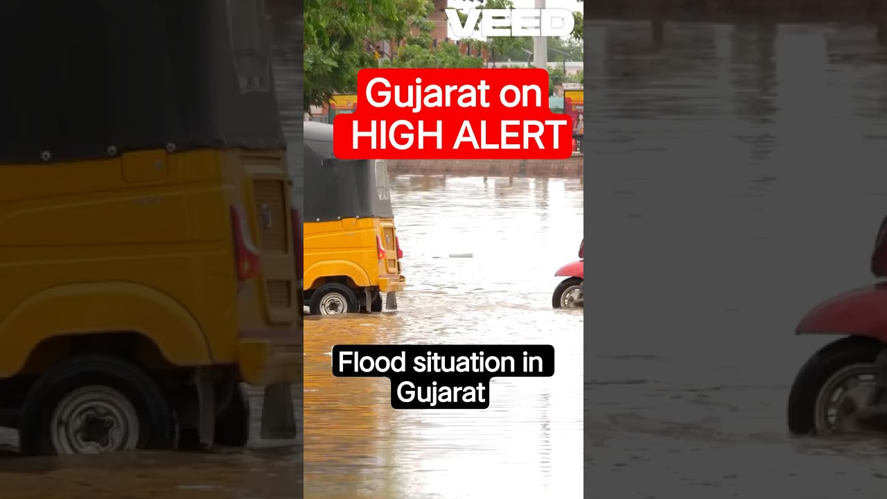 Gujarat Floods 2025 | IMD Red Alert | Heavy Rain & Rescue Updates | Flood Like Situation LIVE