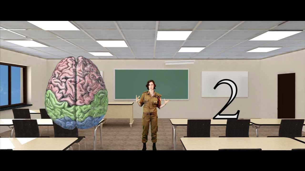 שיעור מצולם - מערכת העצבים