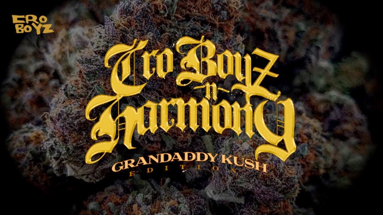 MIKEY STARR & SHADE ONE FRUITY FLAVOURS CRO BOYZ N HARMONY (OFFICIAL MIX TAPE)