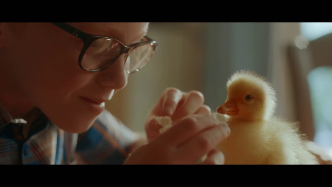 L&agrave; o&ugrave; s'arr&ecirc;te l'amour pour les animaux...