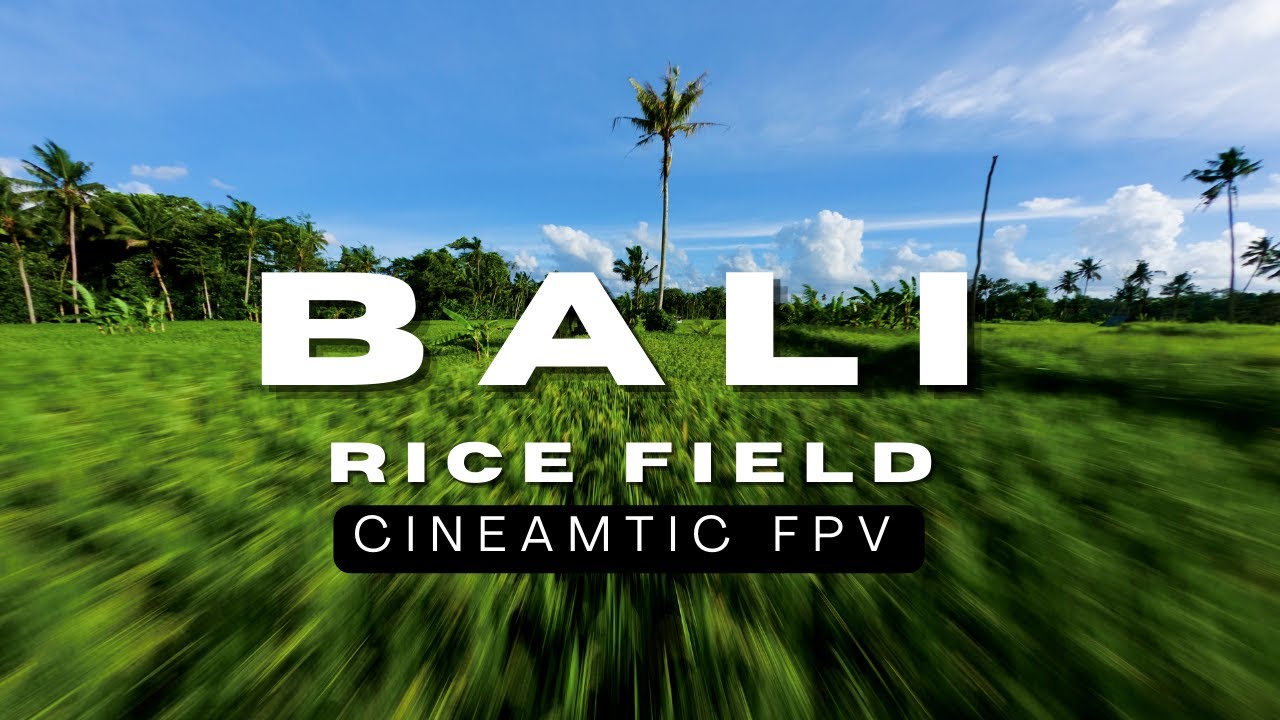 Bali Rice Fields - UNSEEN FPV Drone Footage | Cinematic 5K