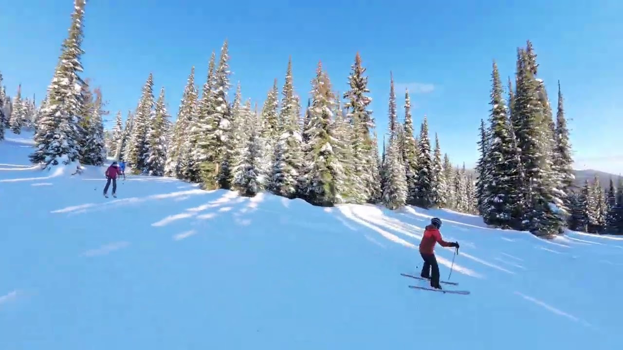 Sunpeak Morisey - thru bush