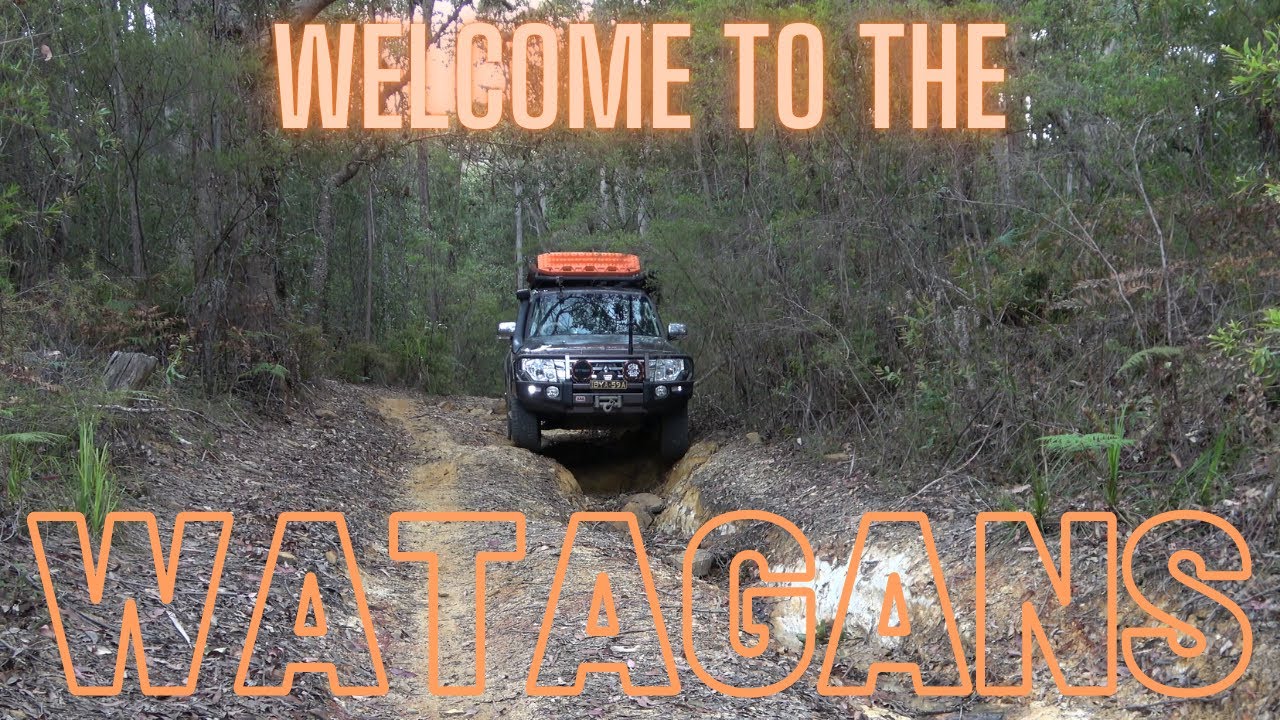 Welcome to the Watagans