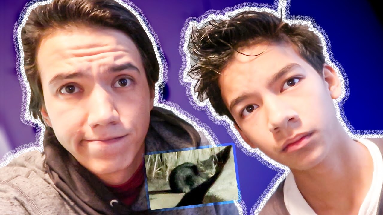 Couldn't save the Kittens... (TRIED MY BEST!!)
