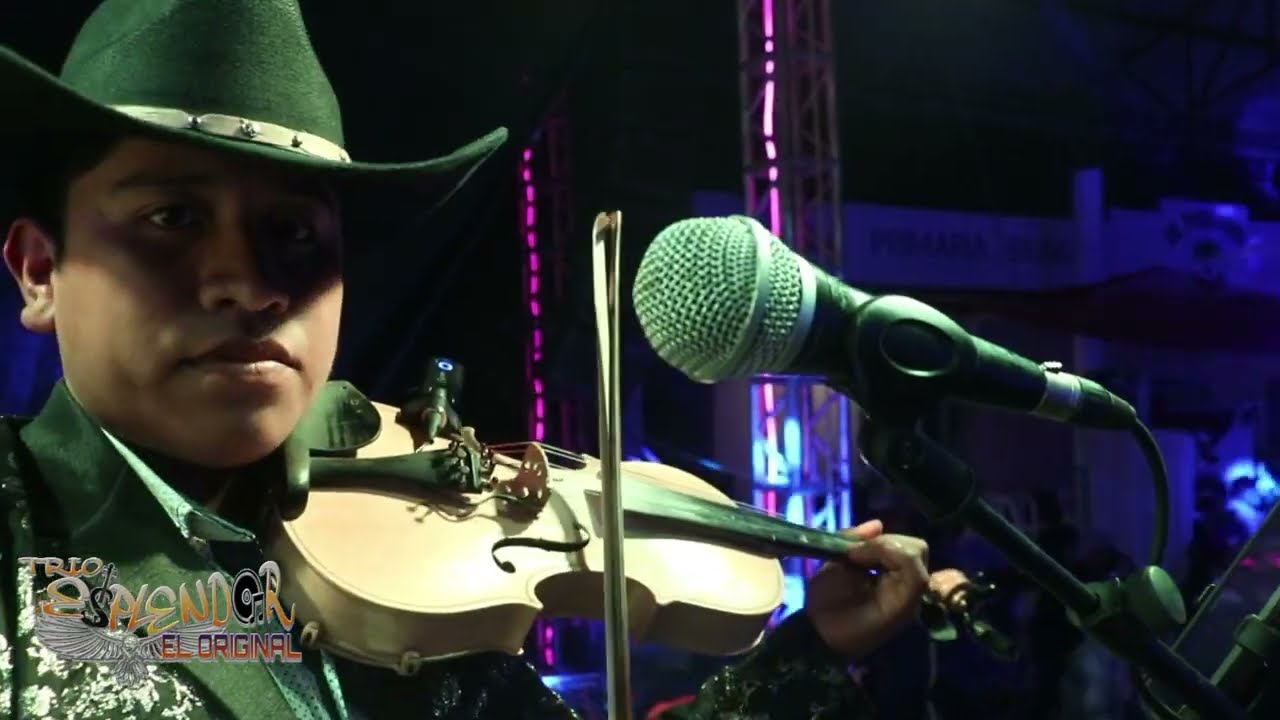 TRIO ESPLENDOR / MOVIDITAS /2025 EN VIVO.