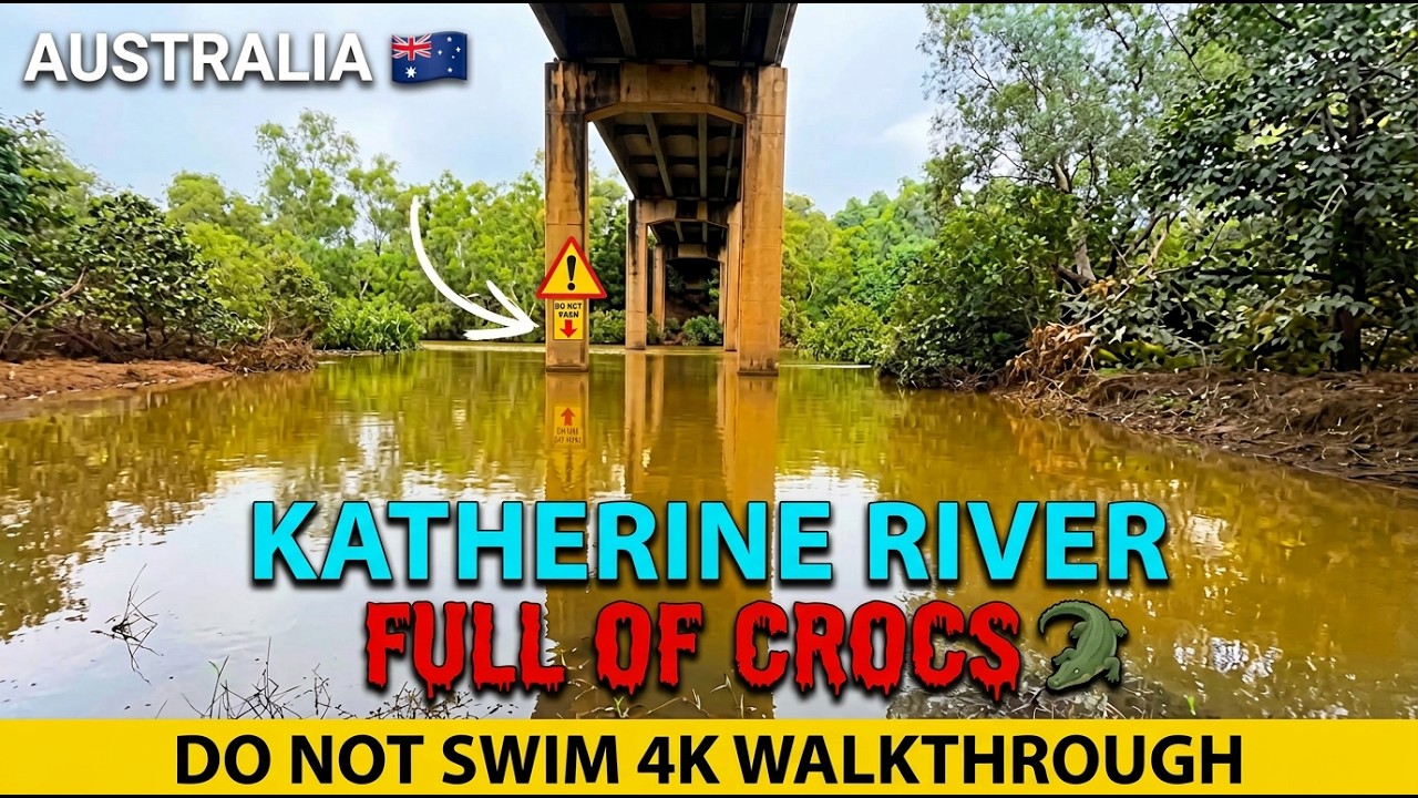 Walking Through DEADLY Crocodile Territory 🐊 | Katherine River 4K | Northern Territory, Australia