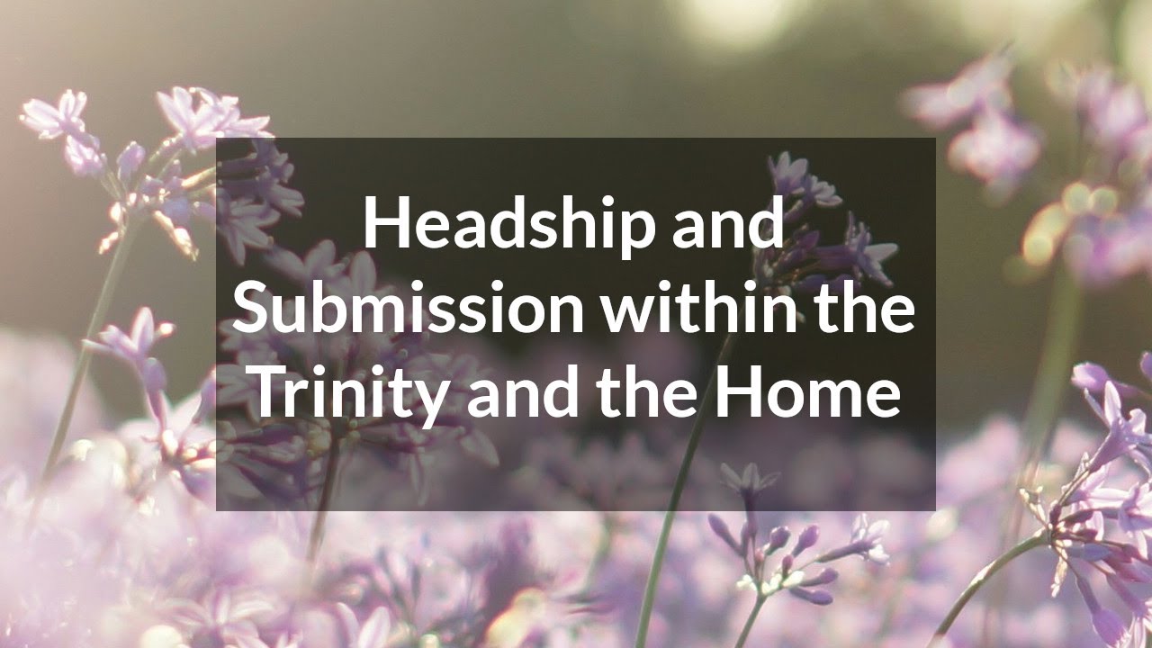 Headship and Submission within the Trinity and the Home - Various Passages