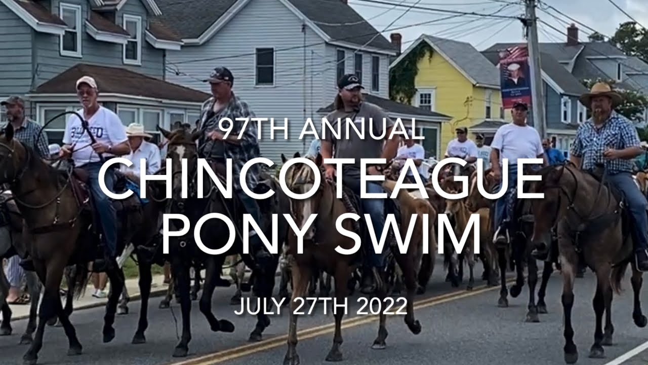 Chincoteague Pony Swim 2022