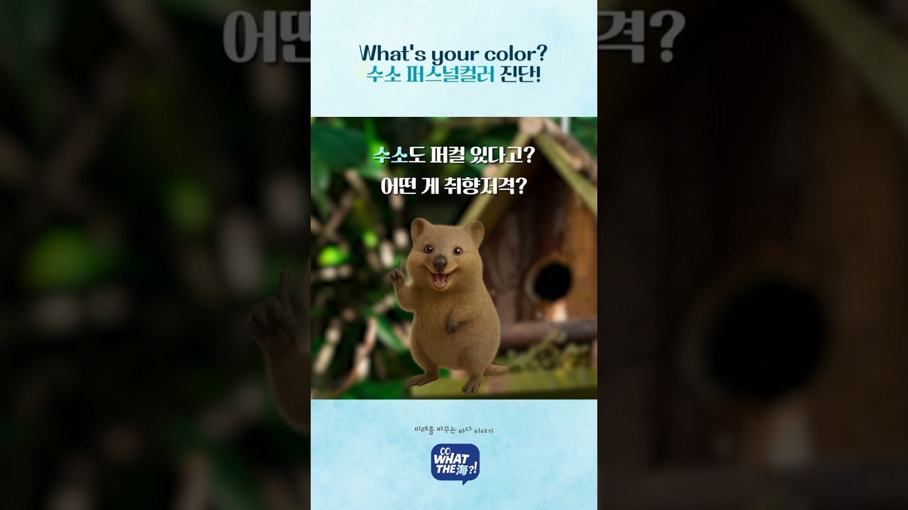 [왓더해 EP.03] What's your color? 수소 퍼스널컬러 진단!