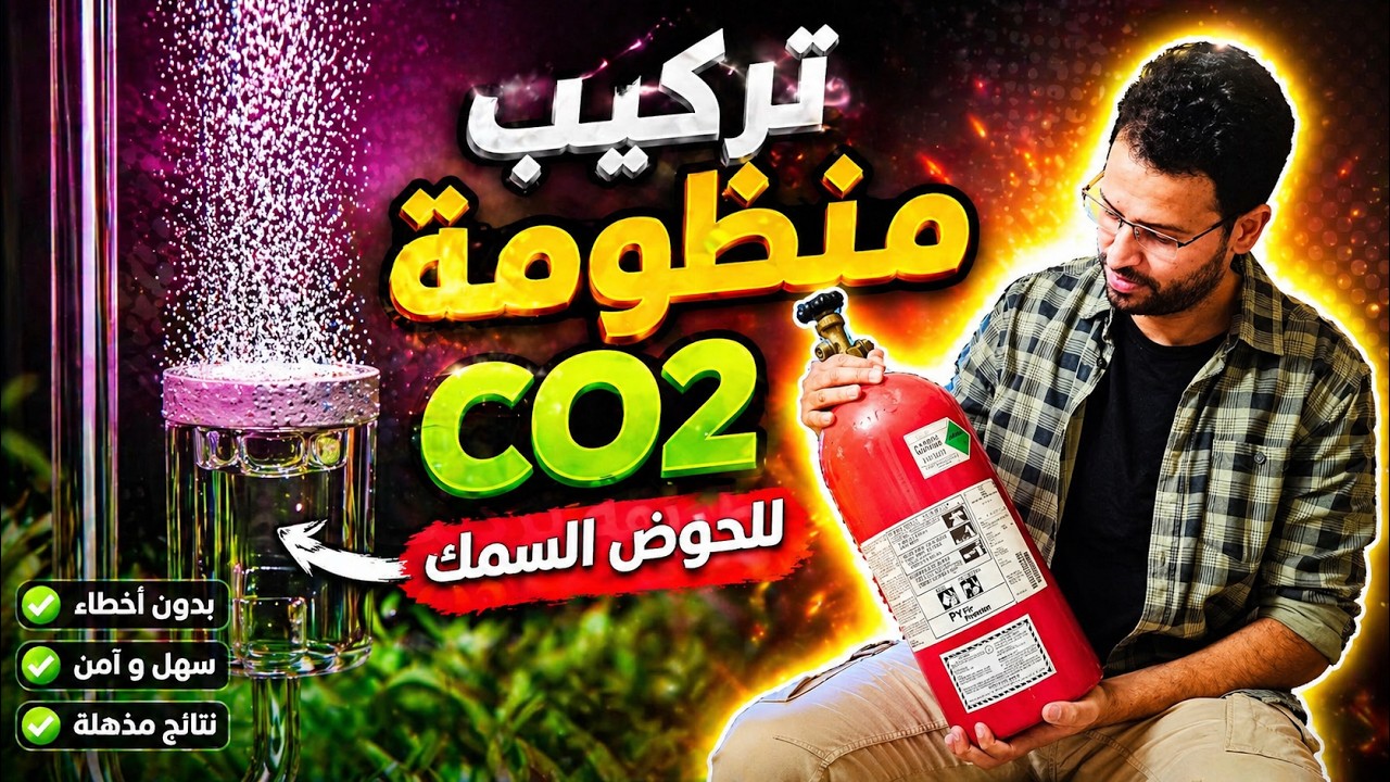 تركيب منظومة Co2 لحوض السمك