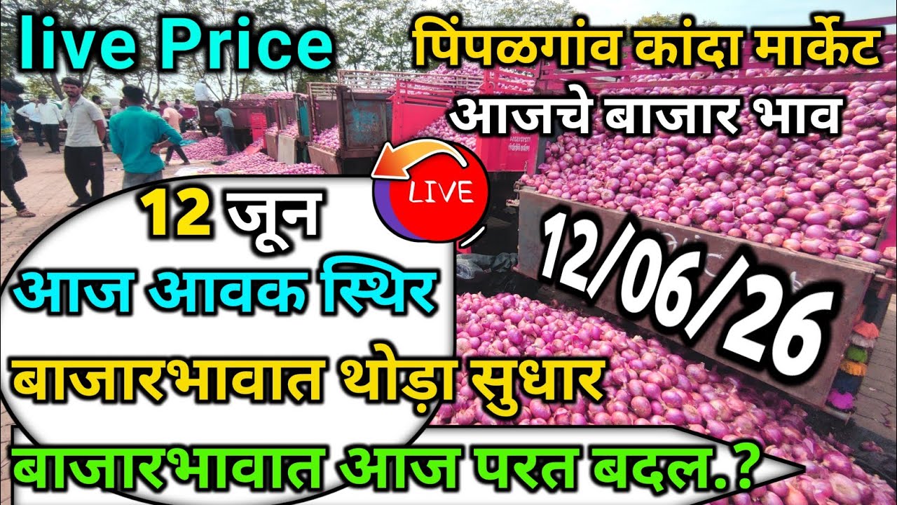 Pimpalgaon Onion Market Price Today:Latest Rates And Insights 12 jun 2025
