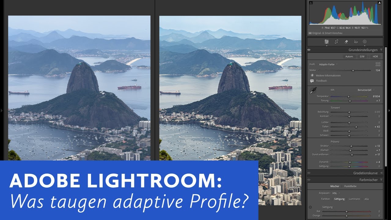 Adobe Lightroom: Was taugt das Kameraprofil 