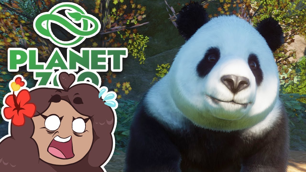 A Court of Elderly Panda Princesses?! 🐼 Daily Planet Zoo! • Zoodesia! • Day 67