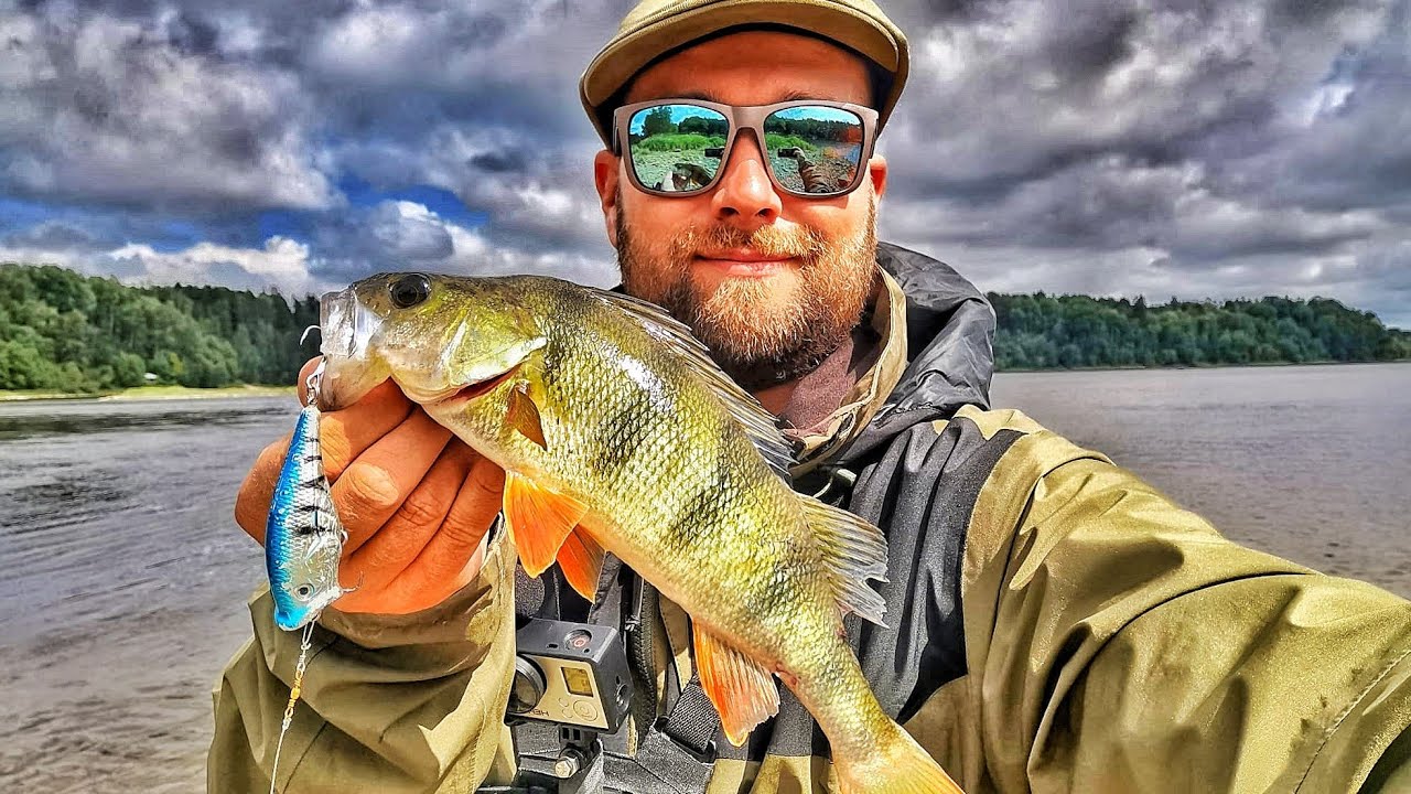 POPPERIN YLIVOIMAA | PINTAVIEHEKALASTUS| NÄIN KALASTAT POPPERILLA | #KALASTUS #PLOPPER POPPER #10