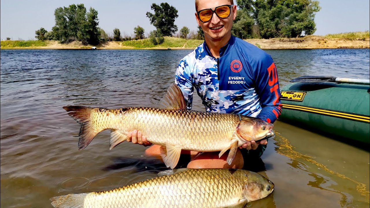 ДИКИЕ АМУРЫ. ЭТУ РЫБАЛКУ ЗАПОМНЮ НА ДОЛГО!!! АВАРИЯ НА ВОДЕ! Ловля сазана и амура на Ахтубе 2021.