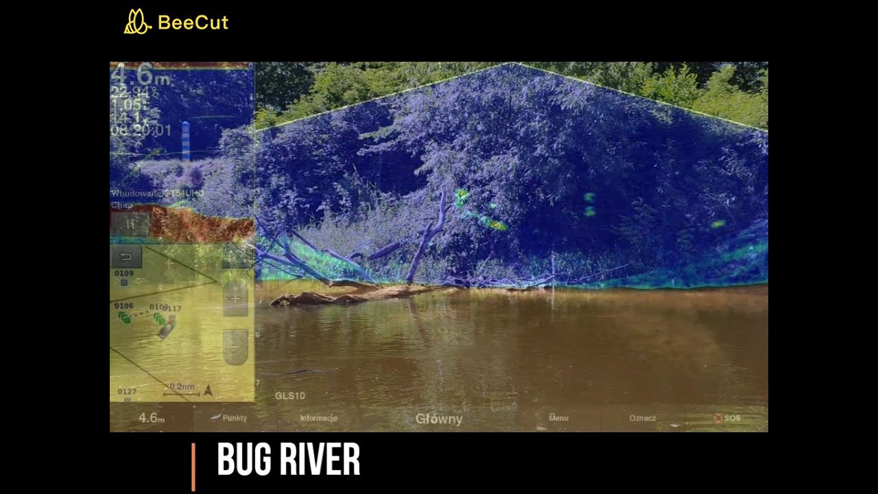 Vertical Catfish fishing. Clonking with Panoptix Livescope. Catfish attack in real view.