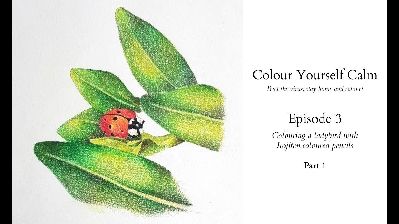 Colour Yourself Calm - Episode 3 - Part 1 - Colouring a ladybird with Irojiten pencils