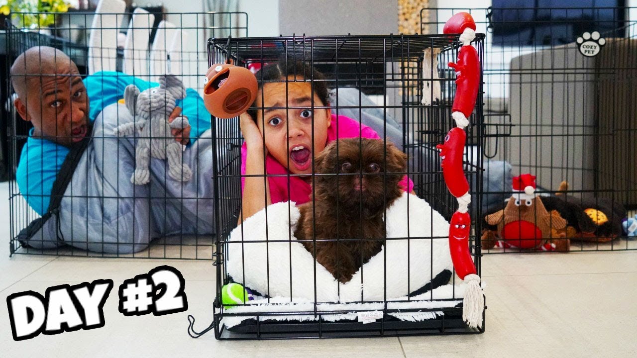 LAST TO LEAVE TIANA'S PUPPY PLAY PEN WINS $1000 Challenge!!
