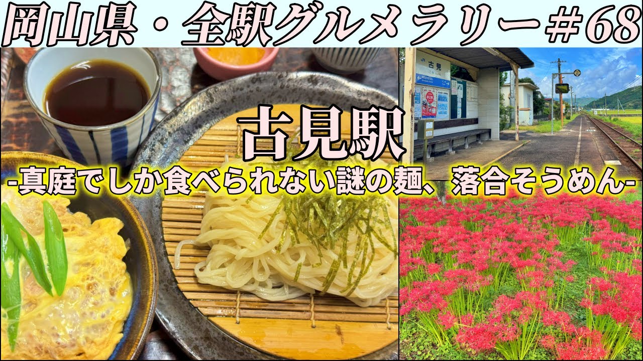 【古見駅】国道313号沿いのそば屋が出す”落合そうめん”という謎の麺を啜りにいくツーリング【岡山県・全駅グルメラリー#68】