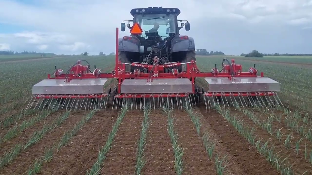 Egedal Maskinfabrik A/S Power Rake 3 beds
